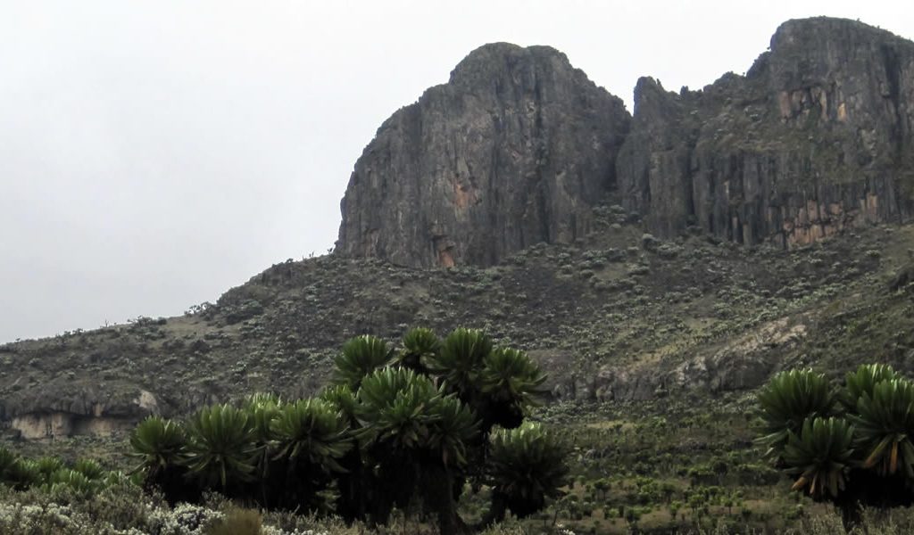Mount Elgon National Park was Gazetted in October 1993, Mt Elgon National Park is located on the Eastern part of Mbale