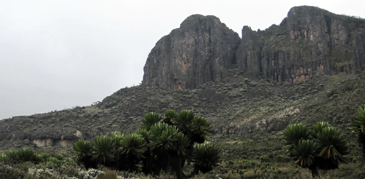 Mount Elgon National Park was Gazetted in October 1993, Mt Elgon National Park is located on the Eastern part of Mbale