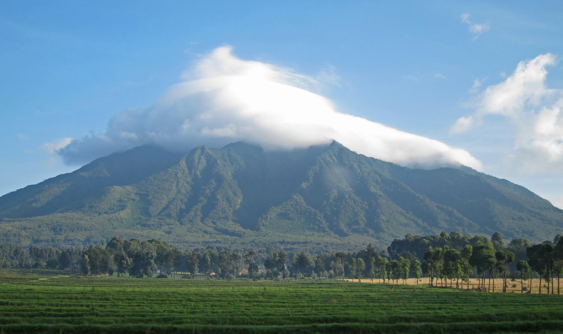 6 Days Gorillas in Virunga & Bwindi impenetrable Forest, The Virunga conservation area is where three national