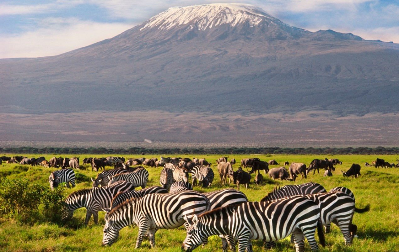 This 4-Day Masai Mara Safari and Amboseli National Park Adventure is among the most affordable safari packages available, offering guests
