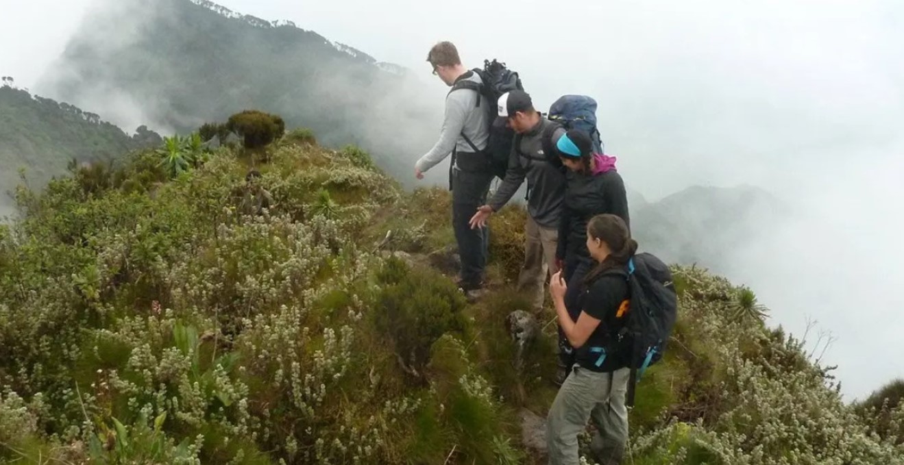 Hiking adventures in Uganda are among the most stunning activities that allow visitors to fully engage in adventure excursions