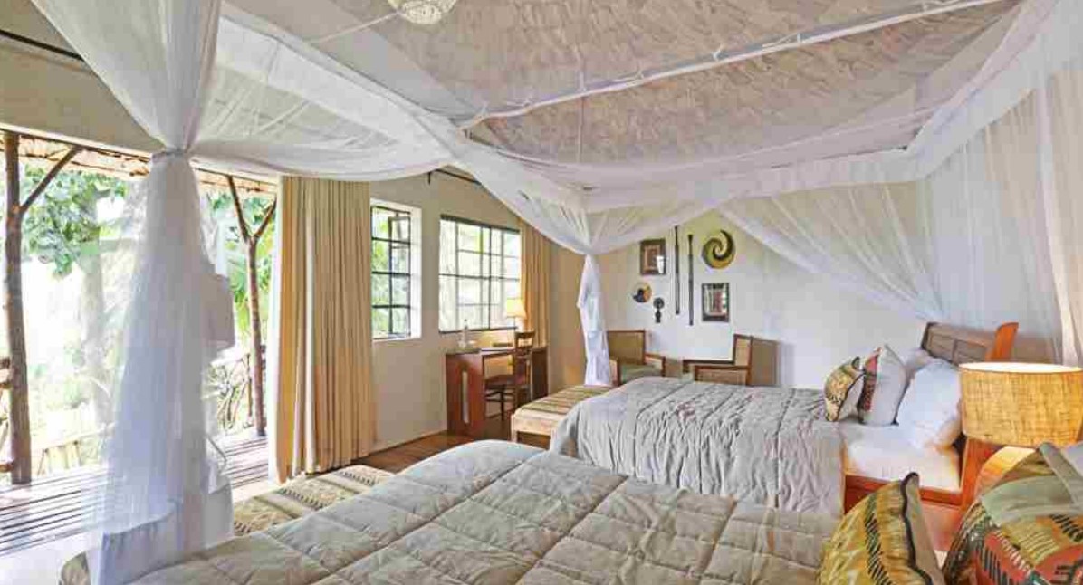 Accommodation Choices in Bwindi facilitate travellers staying for a night or longer while visiting Bwindi Impenetrable Forest National Park.