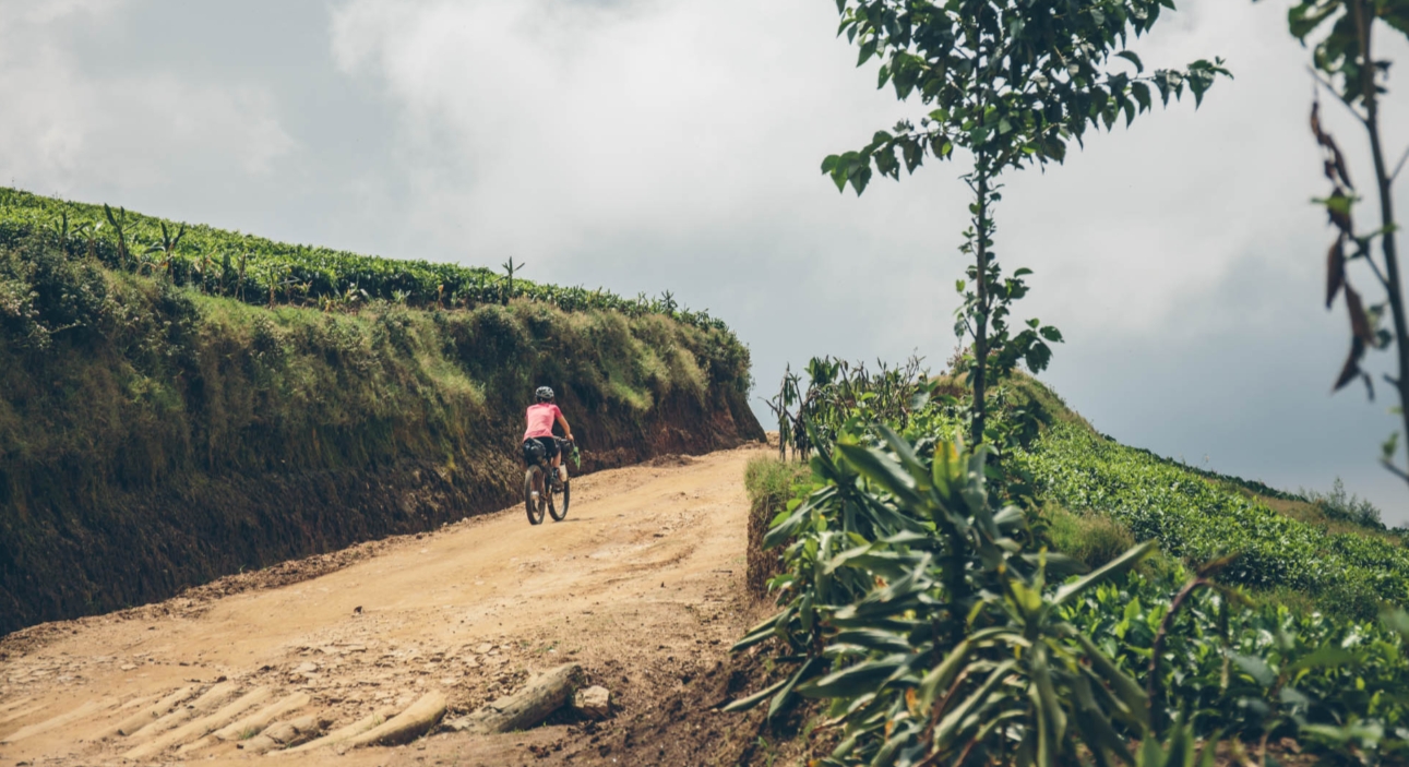 Rwanda’s Congo Nile Trail is one of the country's incredible adventure experiences, although Rwanda’s gorilla trekking safaris are far