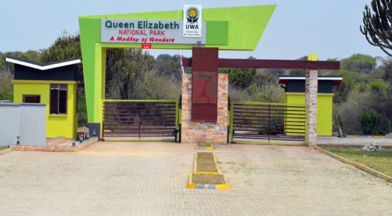 Getting to Queen Elizabeth Park: Both air and road transport means are available from Entebbe International Airport, connecting to Queen