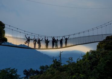 Exploring Nyungwe National Park: This is one of the renowned destinations famous for primate concentrations, especially the intelligent chimpanzee