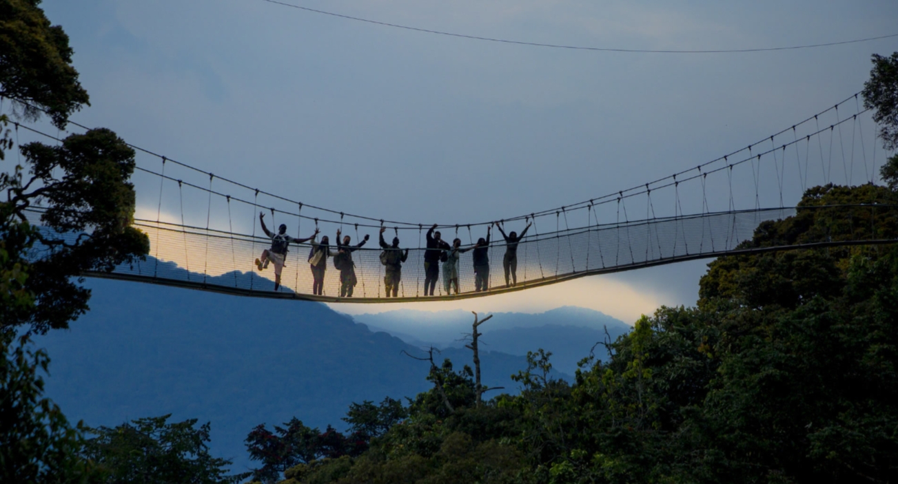 Exploring Nyungwe National Park: This is one of the renowned destinations famous for primate concentrations, especially the intelligent chimpanzee
