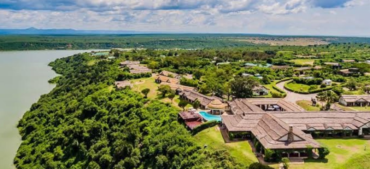 Top accommodation in Queen Elizabeth National Park: Queen Elizabeth National Park (QENP), which features expansive savannahs, glittering