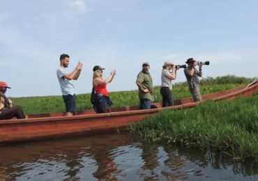 When to Visit Mabamba Wetland: All year long, Mabamba Wetland is a top birding destination, but the dry months are better because the water