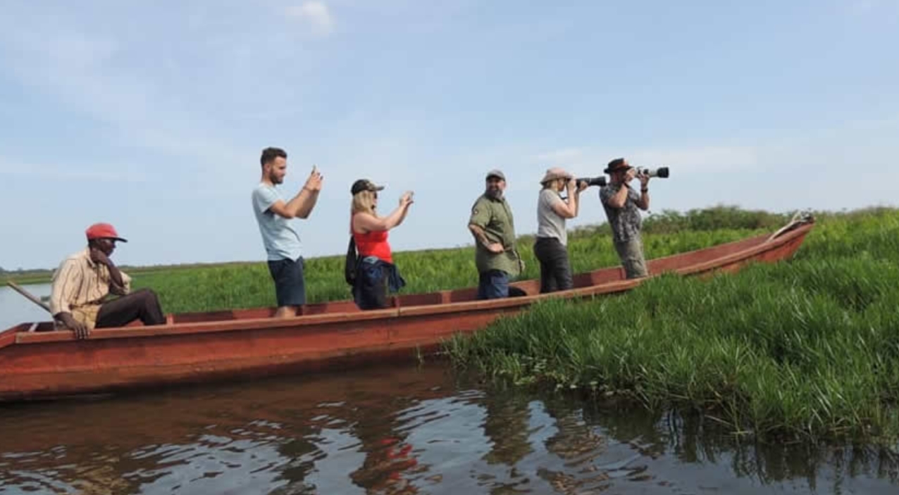 When to Visit Mabamba Wetland: All year long, Mabamba Wetland is a top birding destination, but the dry months are better because the water